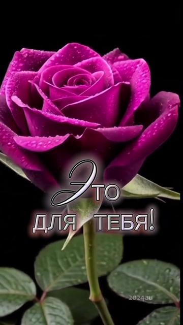 @꧁࿇&hearts;𝓢𝓿𝓮𝓽𝓵𝓪𝓷𝓪꧁&hearts;࿇꧂
