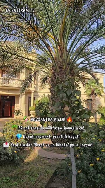 @NOVXANI BAĞLARI