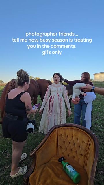 @Tisha 📸🦄 Equestrian Photog