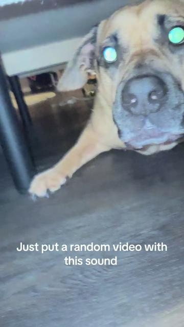@kennedynovosel_