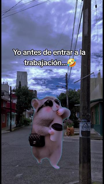 @ᥫ᭡𝑵𝒂𝒏𝒄𝒚 🌡🌻🩷👑