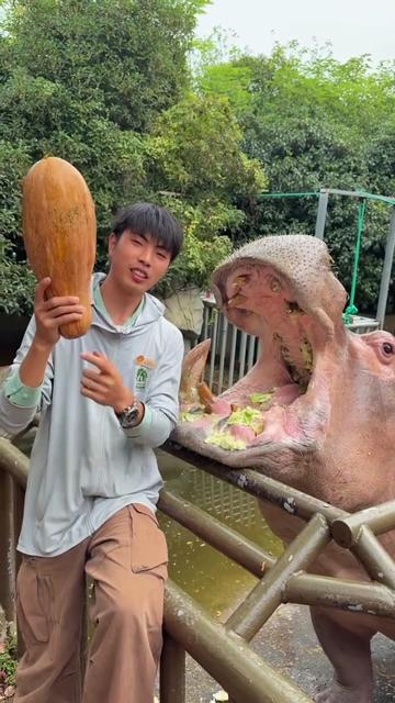 @Hippo