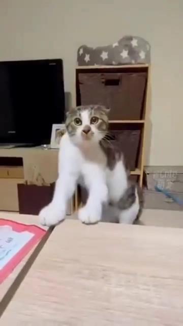 @๐๐๐๐ฏ๐ฒ๐น ๐บ๐ผ๐ป๐๐ฎ๐ป๐ผ