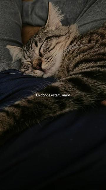 @RaquelRdz♥️