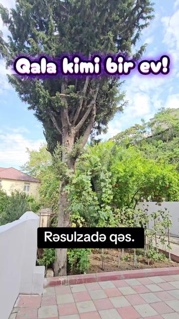 @"Səfərli" real estate