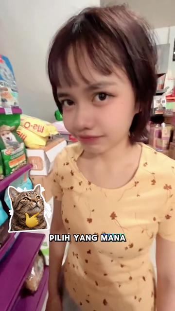 @harapanindopetnusantara