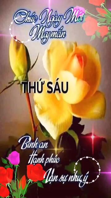 @Huỳnh Văn Được