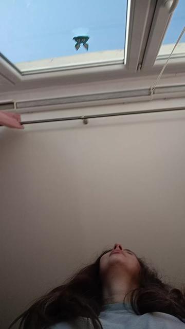 @dzenky92
