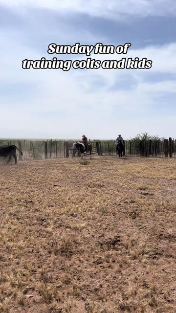 @carlosthecowpuncher