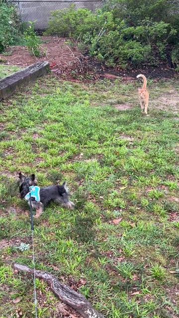 @Lorri Gail Moffatt in GA