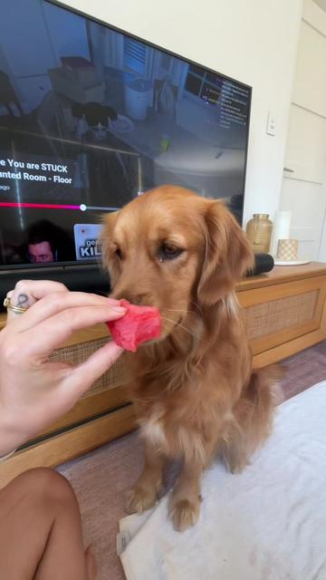 @delilah.thegoldengirl