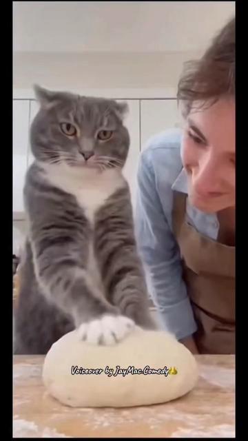 @TeaTime