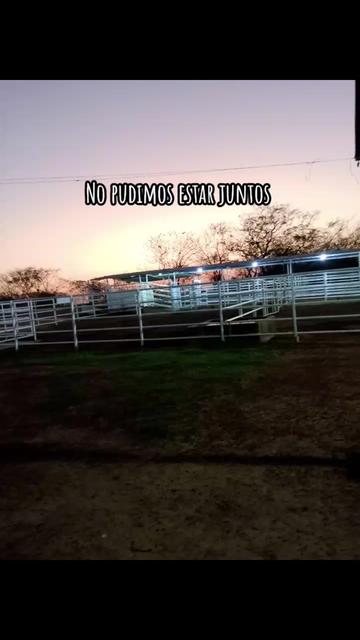 @Jose Delgado🌀