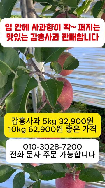@프루트빌리지