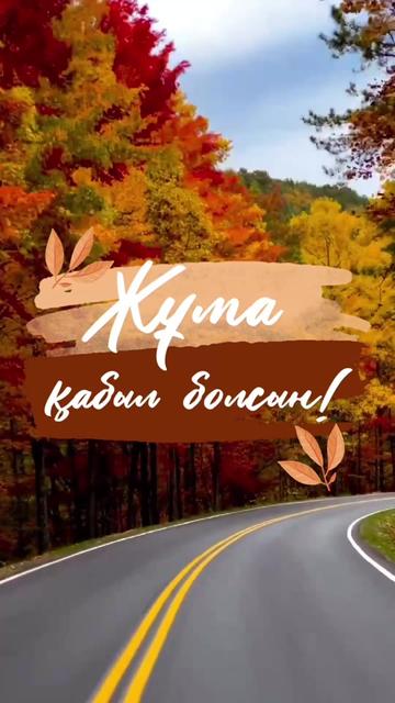 @aray_dinasil