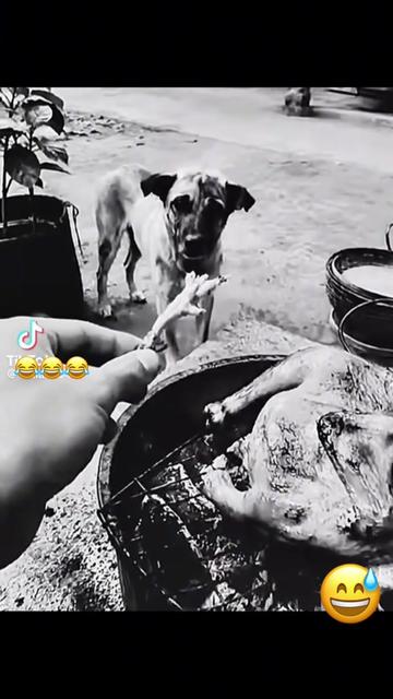 @kevin.martinez8805