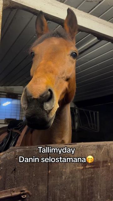 @Minja Hindström