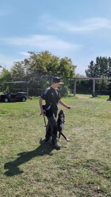 @Kavik.K9