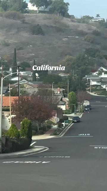 @Pacificone