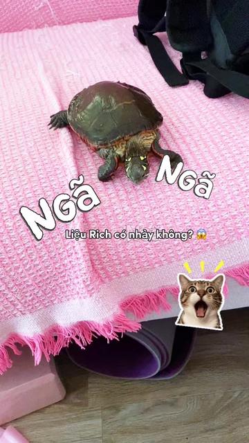 @Nh&agrave; c&oacute; r&ugrave;a v&agrave; ch&oacute;
