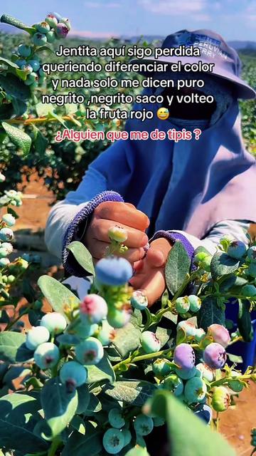 @shina Huaman 🩷🌷