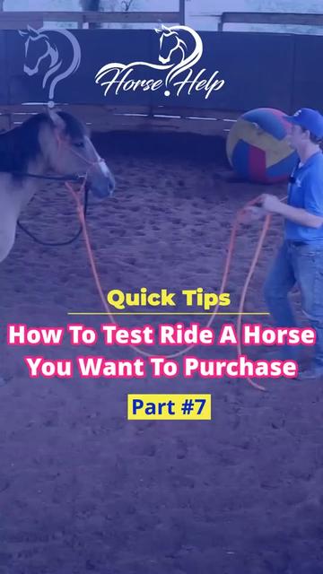 @Horse Help