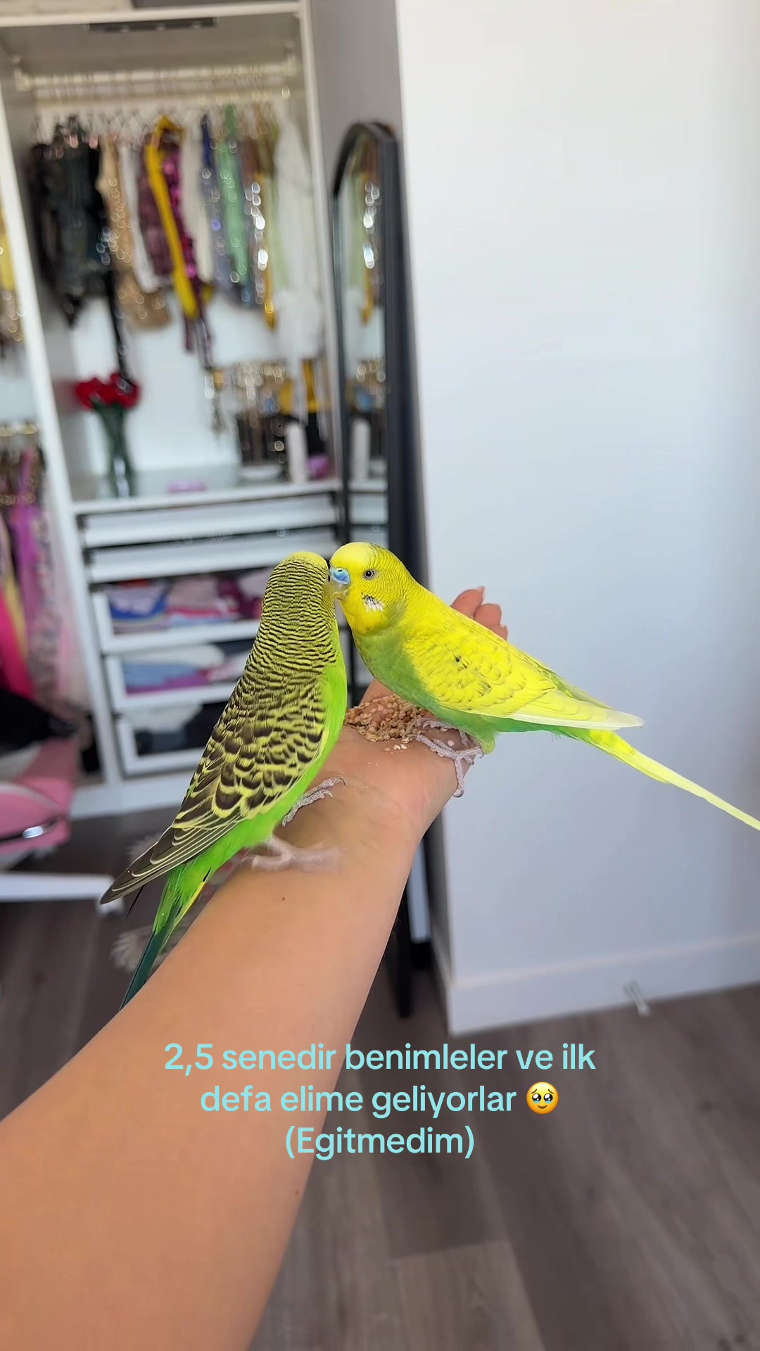 @Ahu&bull;₊&deg;✧︡♡