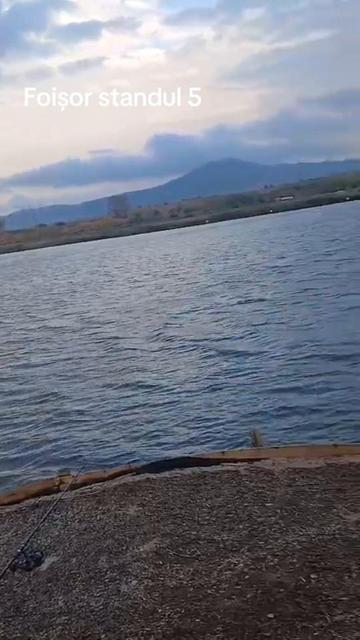 @Balta Turcoaia