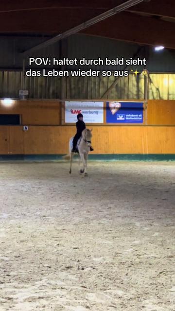 @Shanea & ihre Ponys ♥️🐴