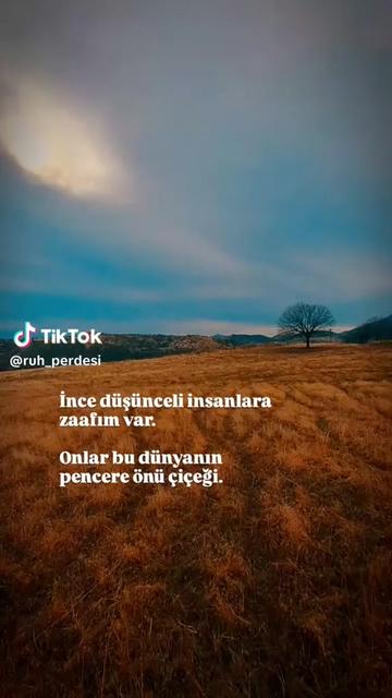 @Derin