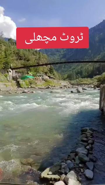 @Gullo Mehar