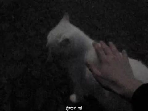 @𝓶𝓪𝓲𝓲✮⋆˙♡