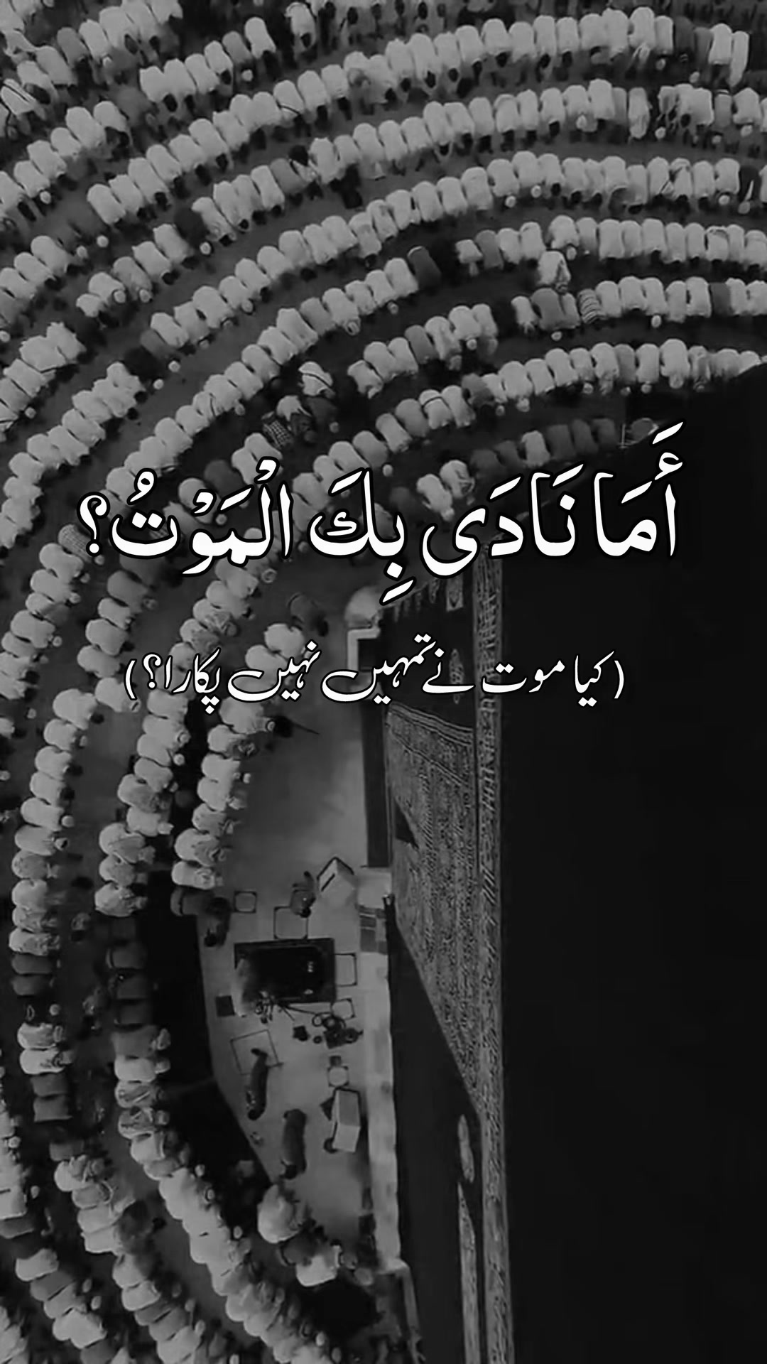 @❣️ Words of Allah ❣️