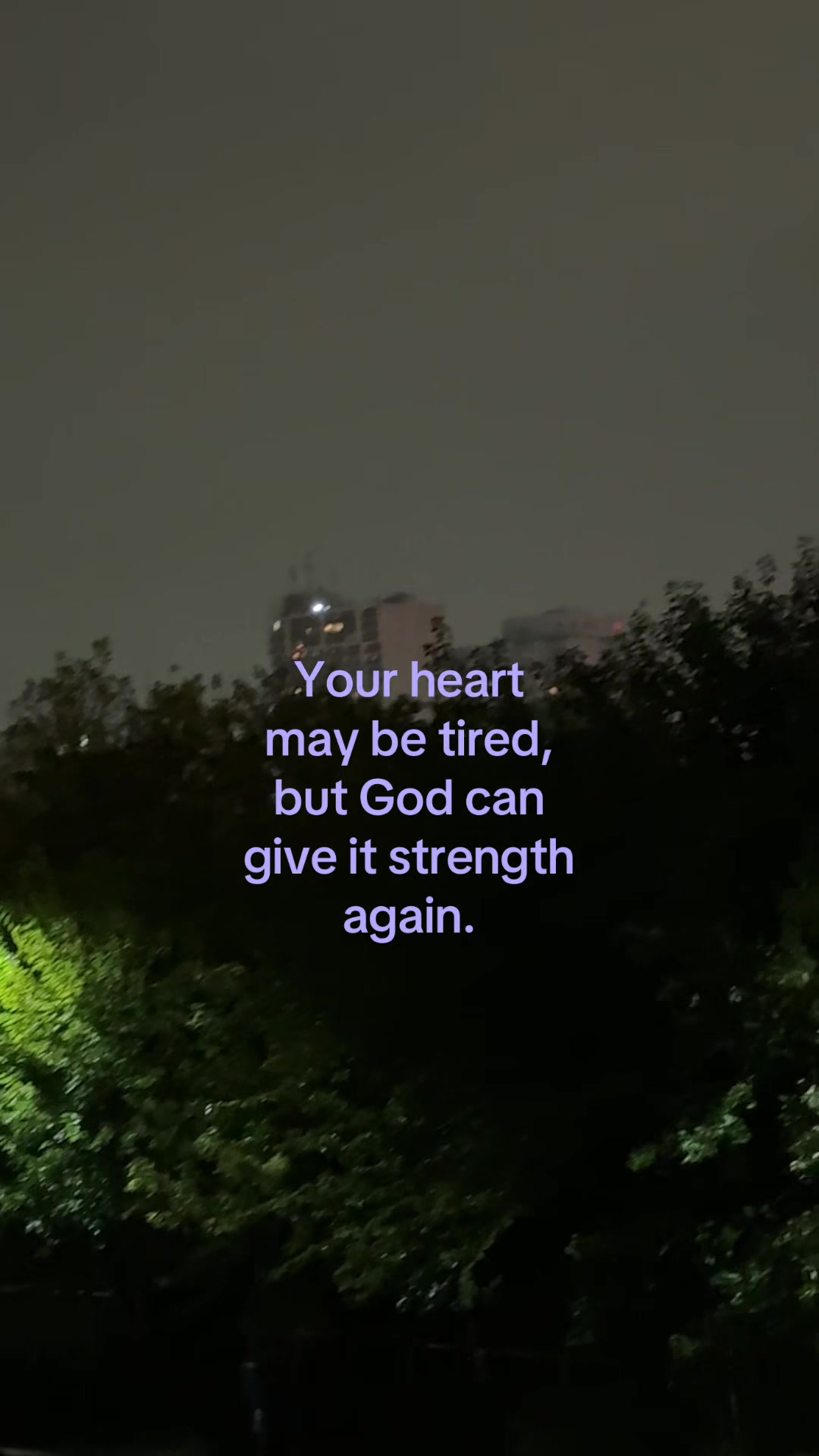 @ℒ ᥫ᭡