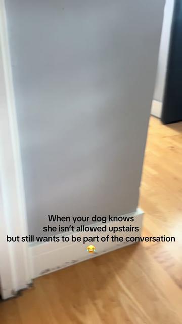 @lifeofholldawgg
