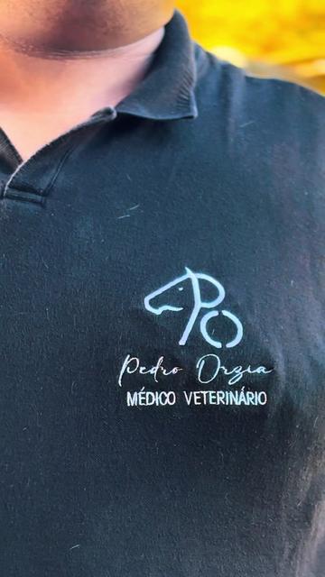 @pedroorzia_