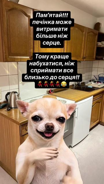 @🌻_Anzhela_🌾