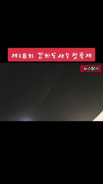 @뉴스탐사