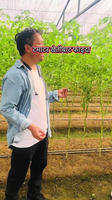 @Anand Bahadur Syangtan🇳🇵🇰🇷