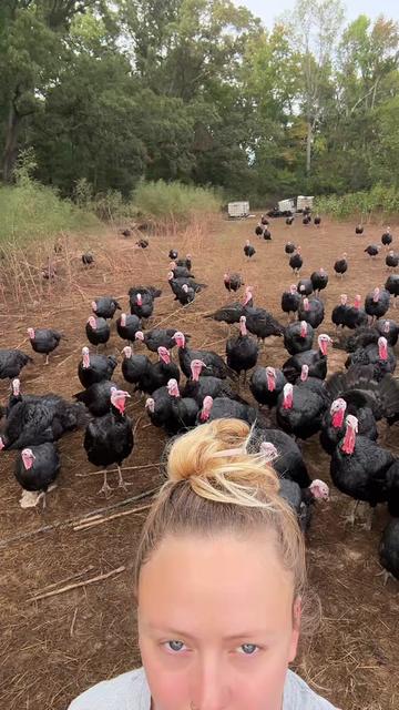@farmerandtheharpiist