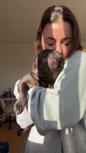 @Mabel the Frenchie