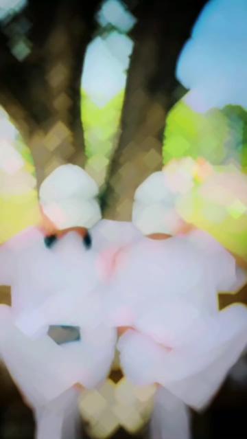 @Aksha + Dhanusha