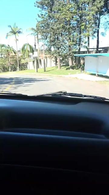 @mariaantonia4563