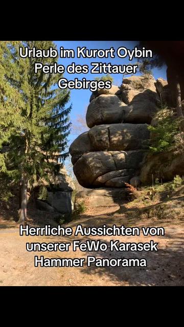 @mandau-fewo.de