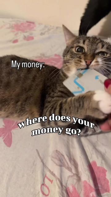 @cosanostrapurr