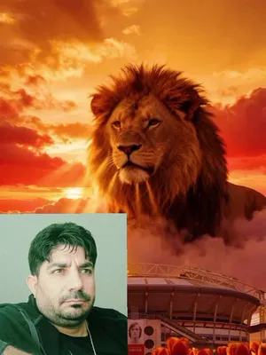 @mehmet g&uuml;l&ccedil;in