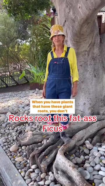 @firmlyplanteddesigns