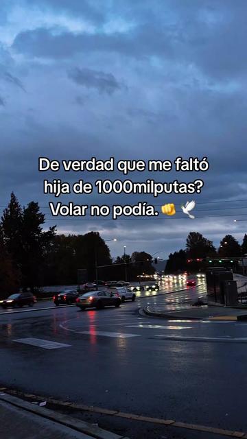 @William Guerra🎭