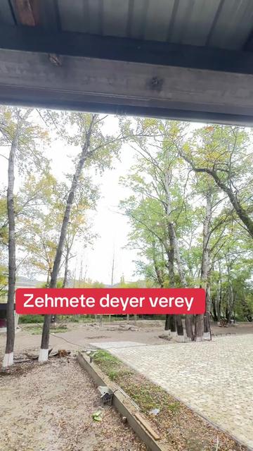 @PAİNTİNG