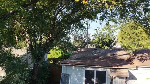 @Live Oak Tree Service